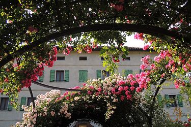 Museo-di-Serravella
