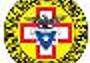 Cnsas_logo