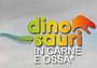 Dinosauri-in-carne-e-ossa---Museo-Gazzetta