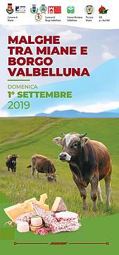 MALGHE tra Miane e Borgo Valbelluna MALGHE tra Miane e Borgo Valbelluna