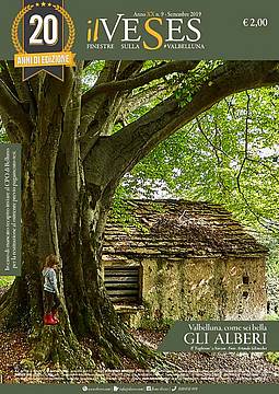 Copertina veses settembre 2019 Copertina veses settembre 2019