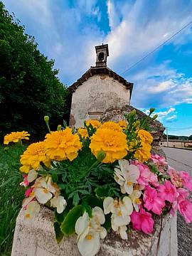 Fiori a Borgo Valbelluna
