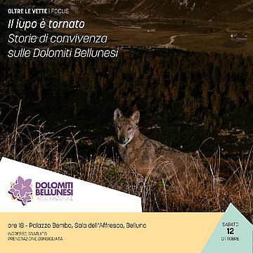 Il lupo è tornato
