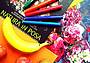 still_life - Natura in Posa