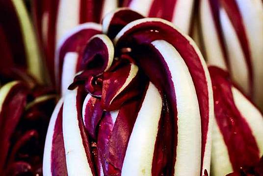 Preganziol - Sagra del Radicchio