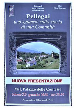 Conferenza Pellegai 25 gennaio