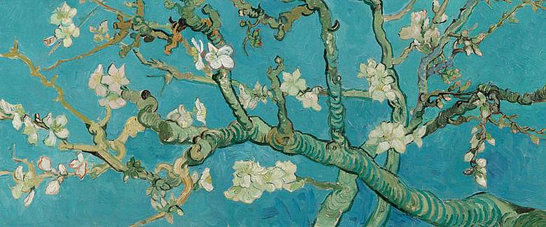 Vincent van Gogh - Mandorlo in fiore (particolare) - 1890 Amsterdam Van Gogh Museum (Vincent van Gogh Foundation) Vincent van Gogh - Mandorlo in fiore (particolare) - 1890 Amsterdam Van Gogh Museum (Vincent van Gogh Foundation)