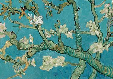 Vincent van Gogh - Mandorlo in fiore (particolare) - 1890 Amsterdam Van Gogh Museum (Vincent van Gogh Foundation)