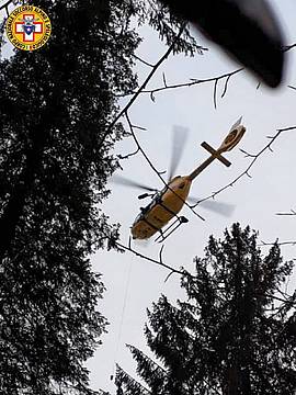 Infortunio tra gli alberi Infortunio tra gli alberi
