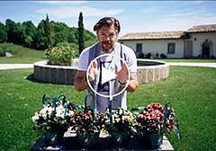 L'azalea di Andrea lo Cicero