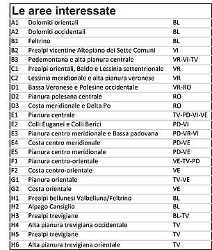 Veneto - Allerta meteo 20260602