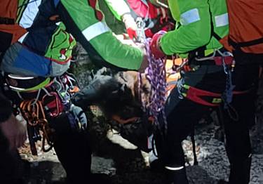 soccorsi escursionisti e il loro cane ferito