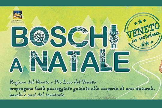 Boschi  a  Natale 2021