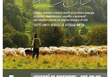 Transumanza  a 360°