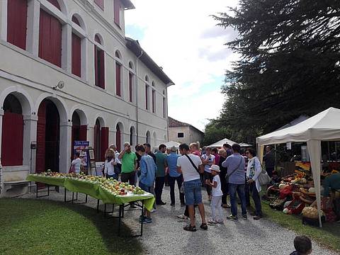 Villa Zasso