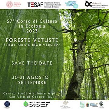 Foreste vetuste Foreste vetuste