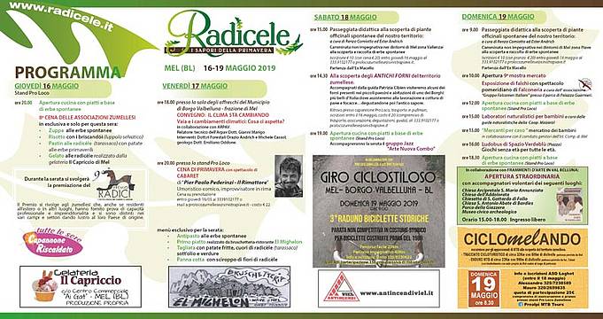 radicele_2019 radicele_2019