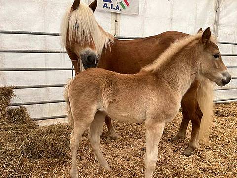 Lora con la mamma Avia