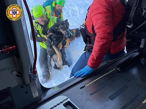 Valanga tra Forcella Pogoffa e Forcella della Neve 1 Valanga tra Forcella Pogoffa e Forcella della Neve 1