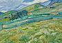 stripe_GoldinVanGogh_2021