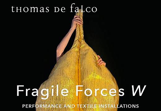 Thomas De Falco - Fragile Forces W