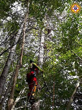 Recuperato pilota di parapendio sospeso su una pianta Recuperato pilota di parapendio sospeso su una pianta