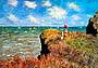 Claude Monet, Passeggiata sulla scogliera a Pourville (particolare), 1882, The Art Institute of Chicago