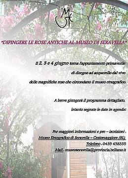 Disegnare le Rose