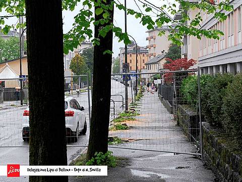 alberi-ancora-in-piedi-di-fianco-ai-ceppi-web