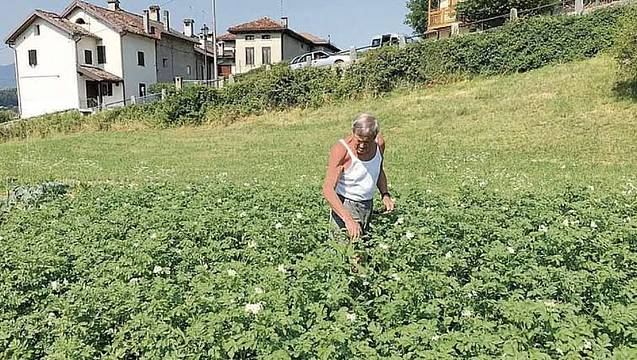 Orti comunali a Feltre