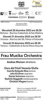 Frau Musika Orchestra