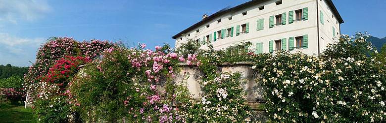 Museo Etnografico Dolomiti