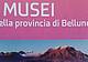 Piantina musei della provincia di Belluno