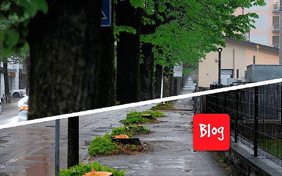 copertina-blog-che-il-comune-ci-dia-un-taglio