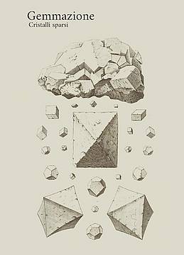 GEMMAZIONE_Grafica Michele Mercati