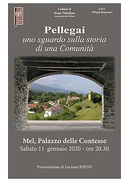 Conferenza Pellegai