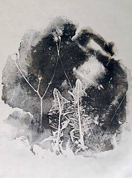 G. Vigolo_calcografia G. Vigolo_calcografia