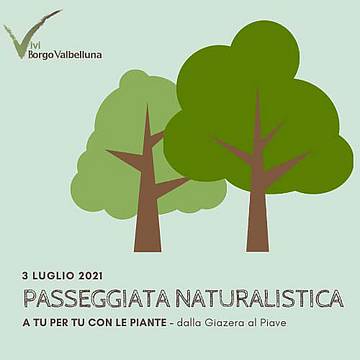Passeggiata Naturalistica 2021