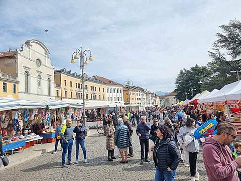Belluno - Sagra del fisciot