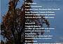 Convegno Alberi Monumentali