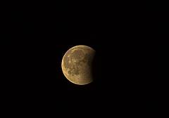 Eclissi di luna - (IPa) Eclissi di luna - (IPa)