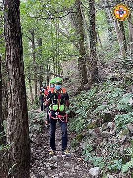 Sentiero degli Alpini, sul Monte della Madonna, Colli Euganei Sentiero degli Alpini, sul Monte della Madonna, Colli Euganei