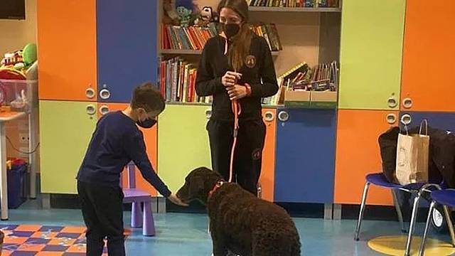 Un cane in Pediatria a Belluno Un cane in Pediatria a Belluno