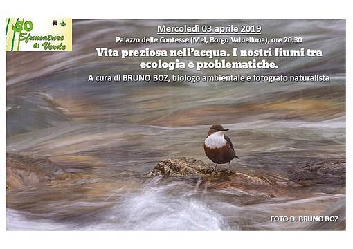 Incontro 03_aprile_2019