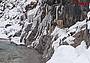 La pecora e l'agnellino bloccati sul greto innevato del Piave a Santo Stefano di Cadore (Foto vigili del fuoco)
