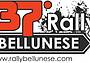 Logo 37^ Rally Bellunese