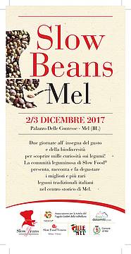 Slow Beans 2017