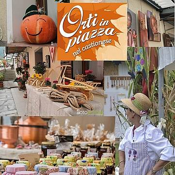 ORTI in PIAZZA a Castion