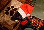 bau%20xmas