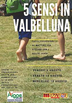 5 sensi in Valbelluna- 5 sensi in Valbelluna-